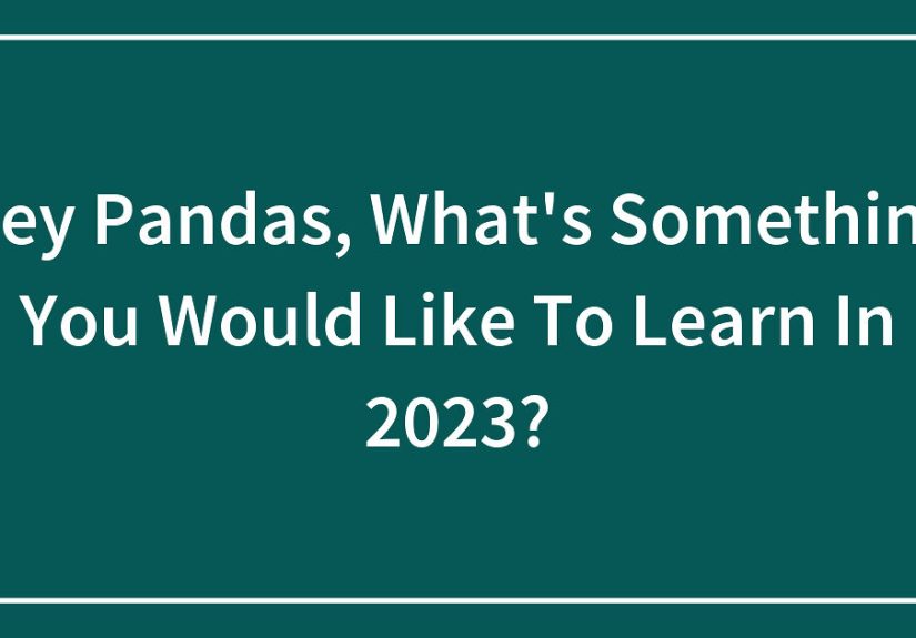 Hey Pandas, What’s Something You Would Like To Learn In 2023?
