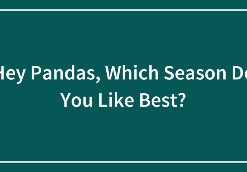 Hey Pandas, Which Season Do You Like Best?