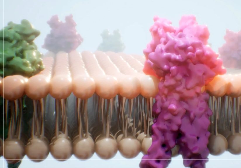 How Gene Therapy Targets Follicular Lymphoma