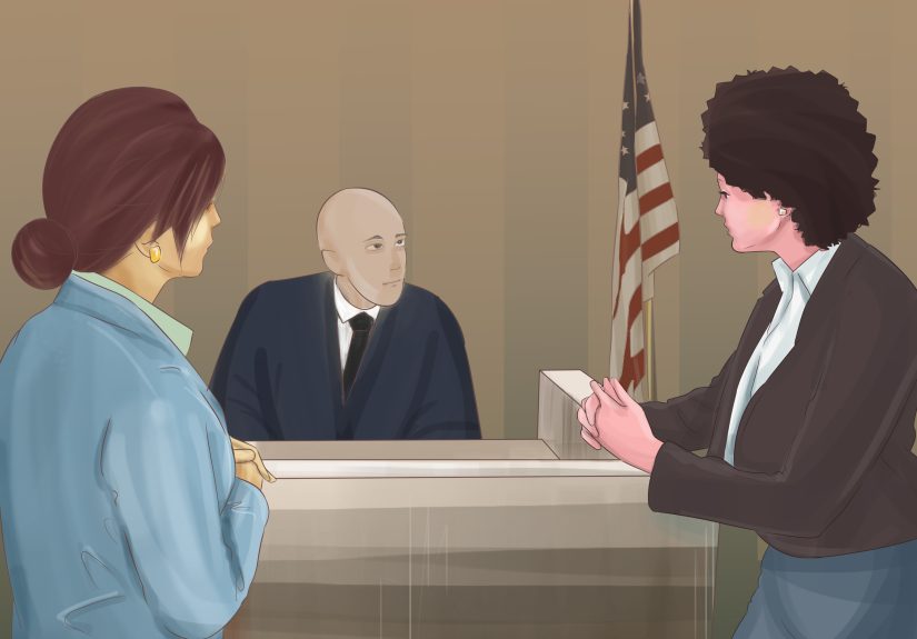 How to Prove Perjury: 14 Steps