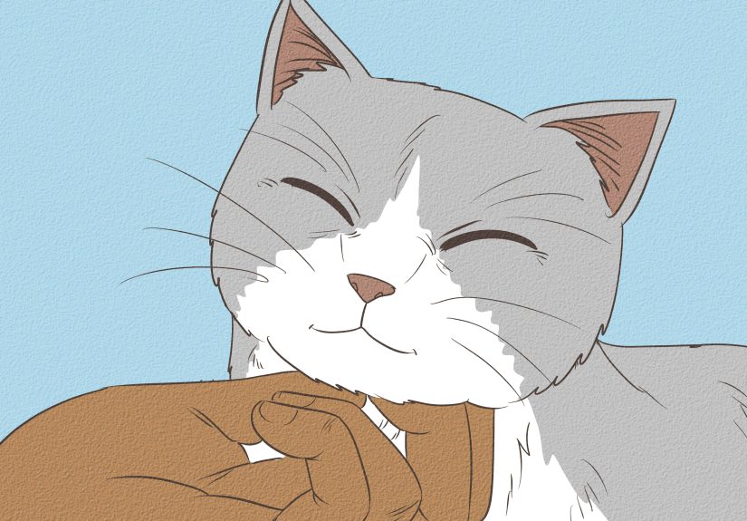 How to Teach Your Cat to Talk: 8 Steps
