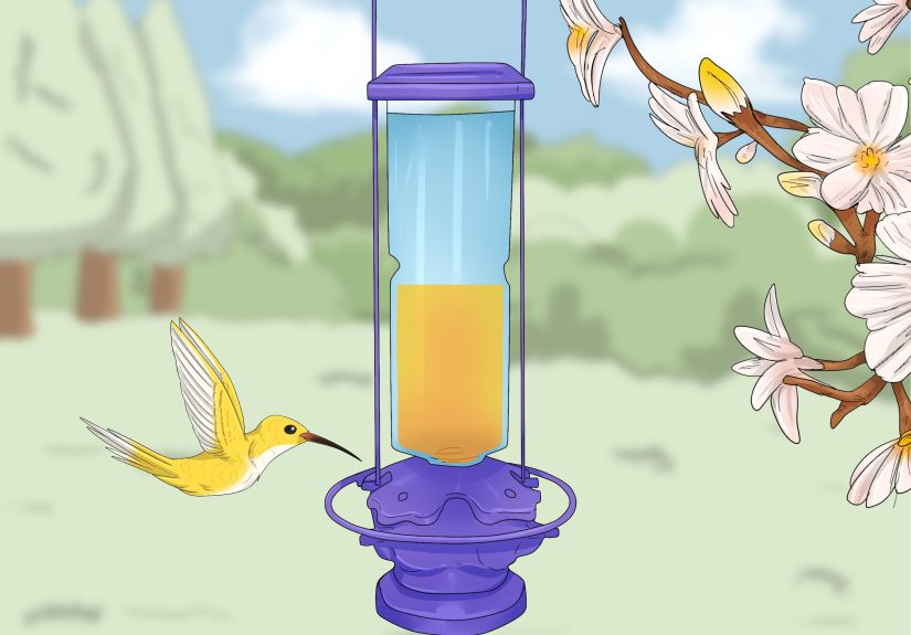 Hummingbird Dream Meanings: Spiritual Symbolism & Scenarios