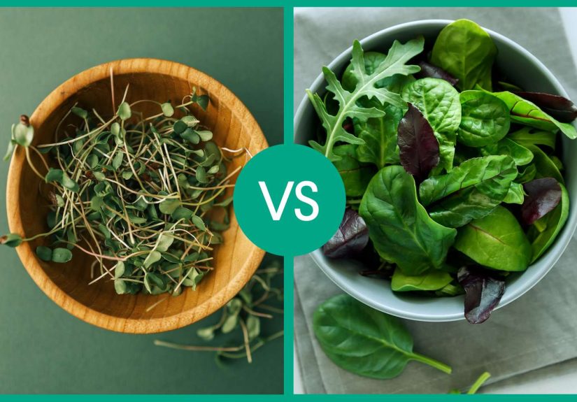 Microgreens Pack Way More Nutrients Than You ThinkHere’s How They Compare to Regular Greens