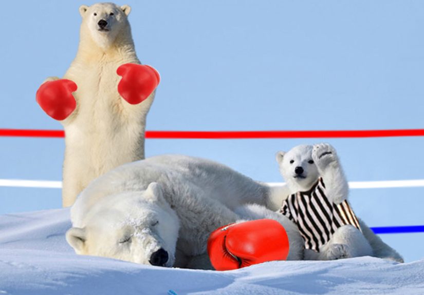 Polar Bear Cub Waves To Say ‘Hi’ To The Photographer, Inspires A Hilarious Photoshop Battle