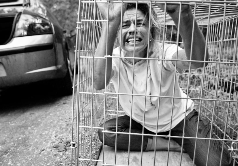 Polish Charity Launched A Social Campaign Aimed To Fight Against Pets’ Abandonment