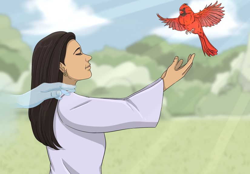 Red Cardinal Meaning: Spiritual Signs & Symbolism