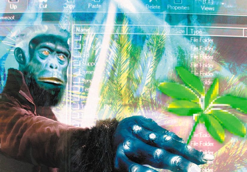 The Stoned Ape Theory: Did Primates Invent Consciousness?