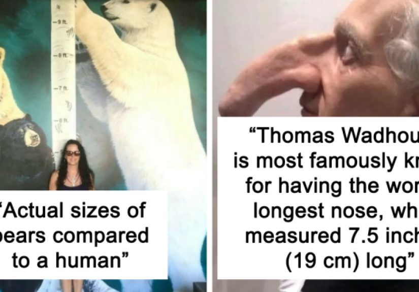 This Instagram Account Shares Fascinating Fun Facts You Probably Didn’t Learn In School, Here Are 50 Of Their Best Posts