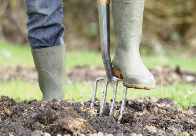 Want a Bountiful Summer Garden? Do These 3 Things to Your Soil Now