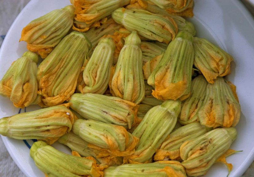 What Are Zucchini Flowers?