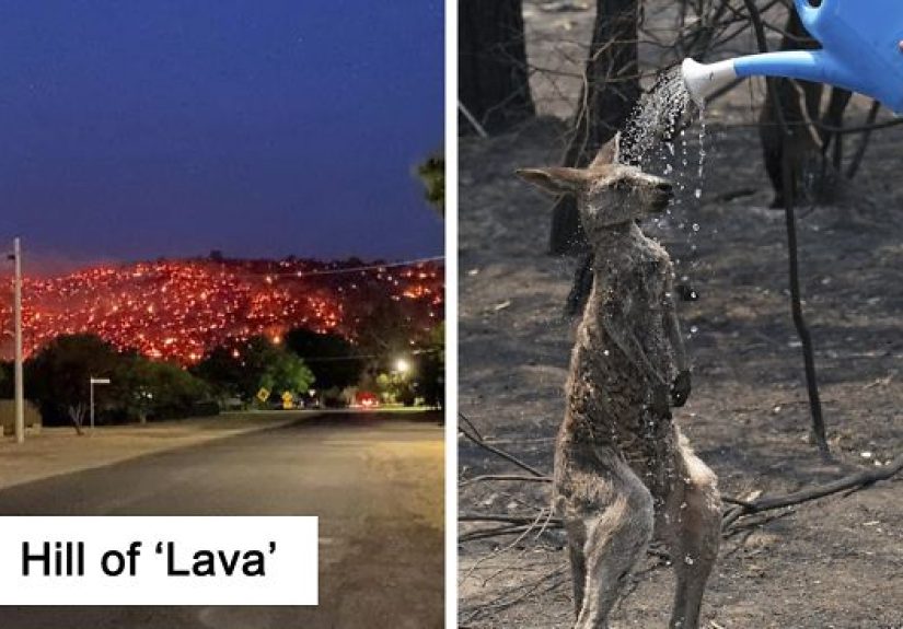 50 Pics That Sum Up The Hell On Earth That Is Taking Place In Australia