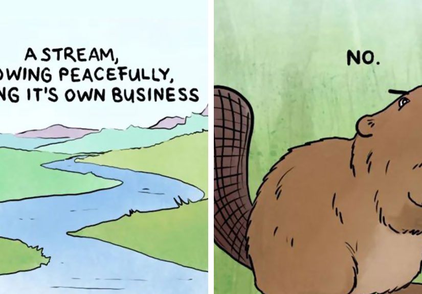 Artist Creates Humorous Comics That Might Tickle Your Funny Bone (35 Pics)