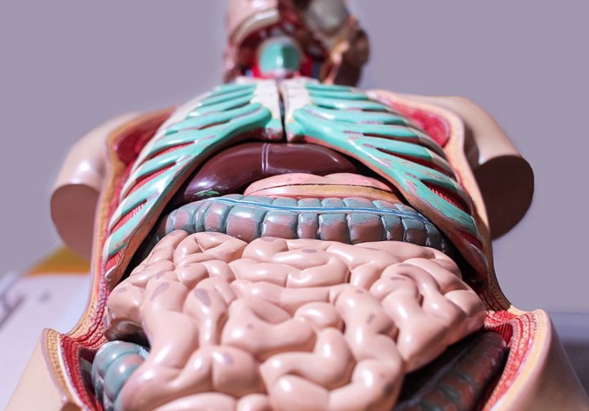 Diverticulitis: Symptoms, Causes, Diagnosis, Treatment, Surgery