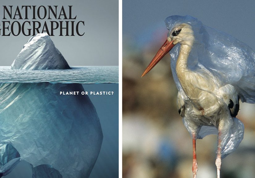 Everyone Is Applauding This National Geographic Cover But The Real Shock Lies Inside The Pages