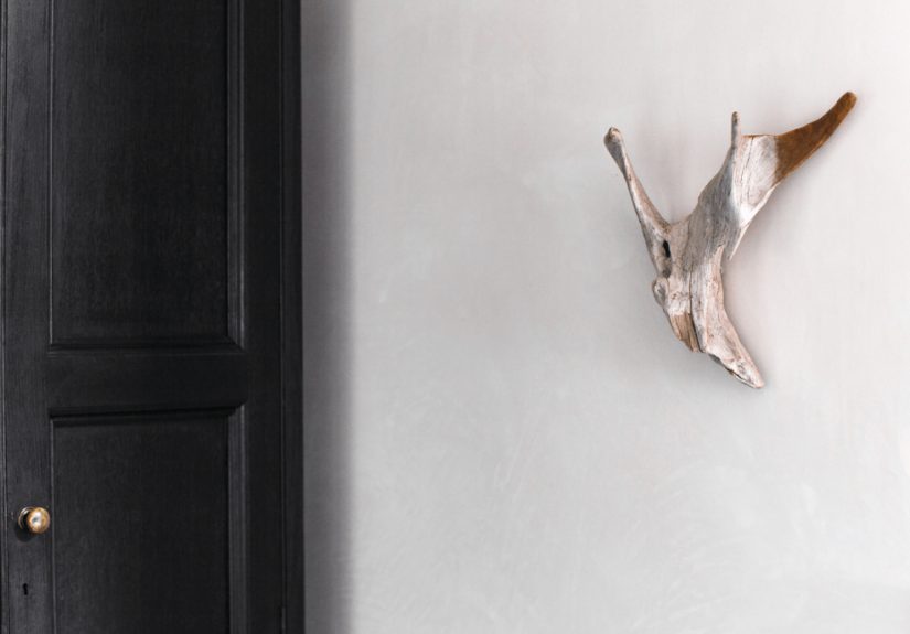 Expert Advice: Thoughts on Designing from Nature with Spencer Fung