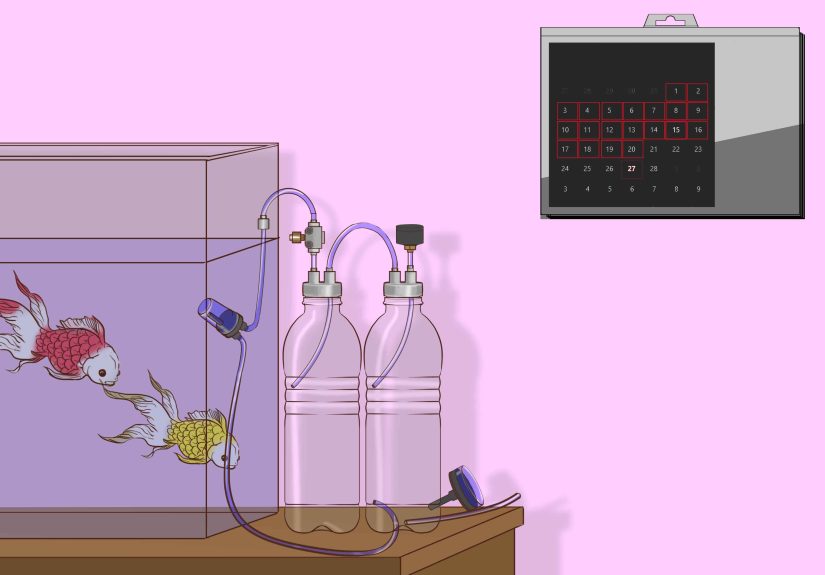 How to Make a CO2 Reactor for an Aquarium: 15 Steps