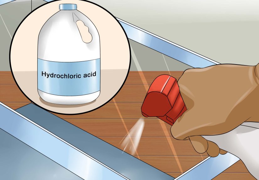 How to Treat Fish Diseases: 13 Steps