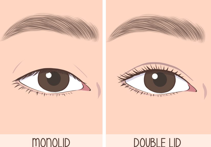 Monolid vs Double Lid vs Hooded Eyes: What’s the Difference?