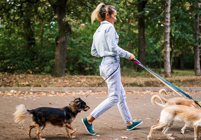 Our Editorial Team's Favorite Ways to Unwind