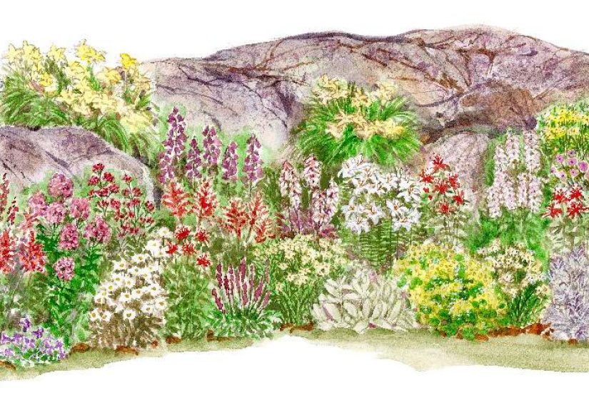 Plant This Long-Blooming Rock Garden Border for Months of Color
