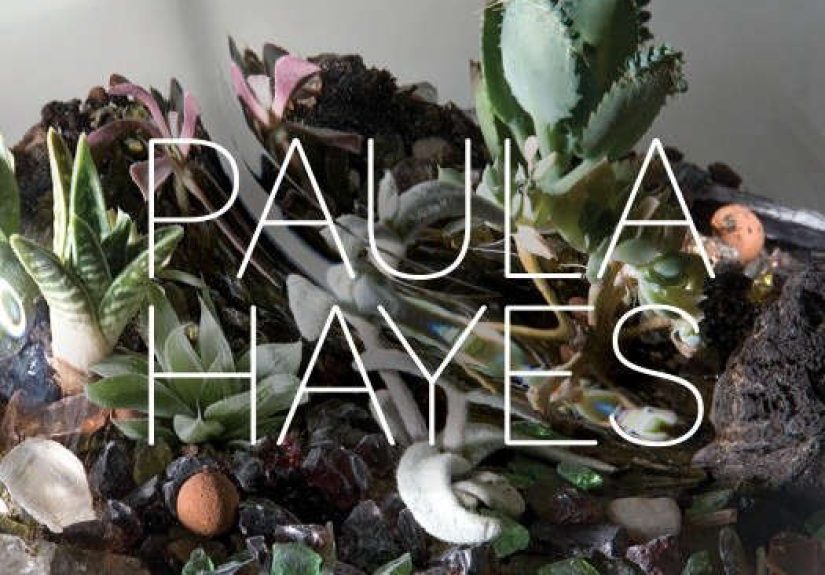 Required Reading: From Terrariums to Green Roofs