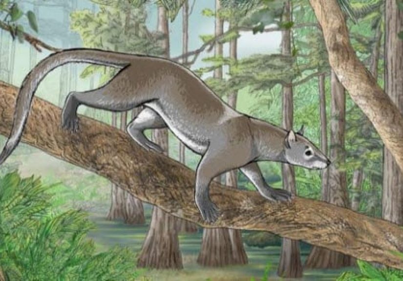Top 10 Lesser-Known But Interesting Ancient Animals