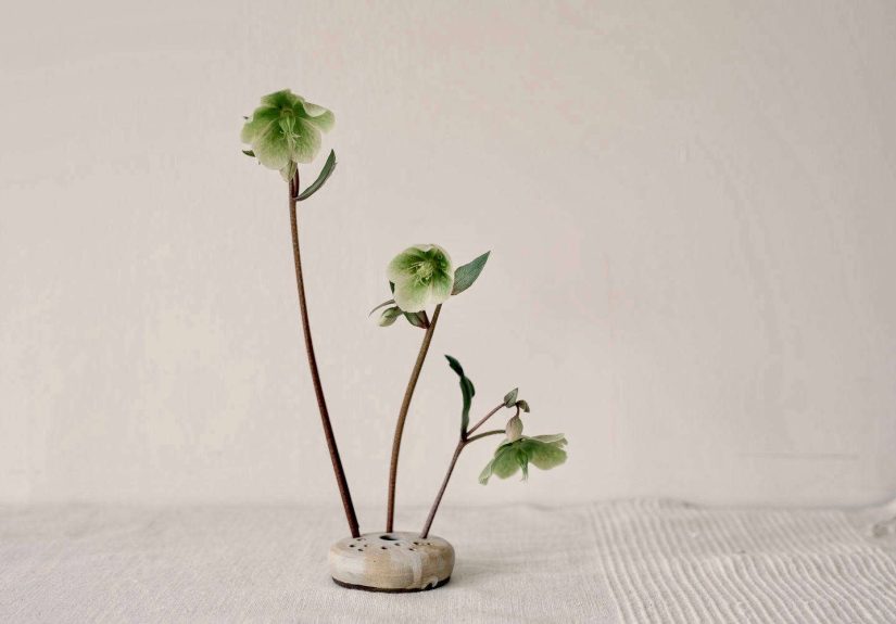 Trending on Gardenista: Green Thumb